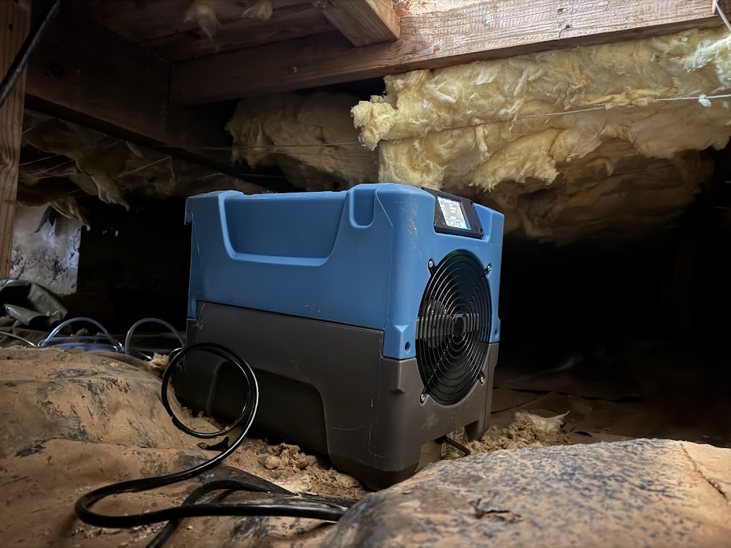 White Glove Water Damage Restoration — photo
