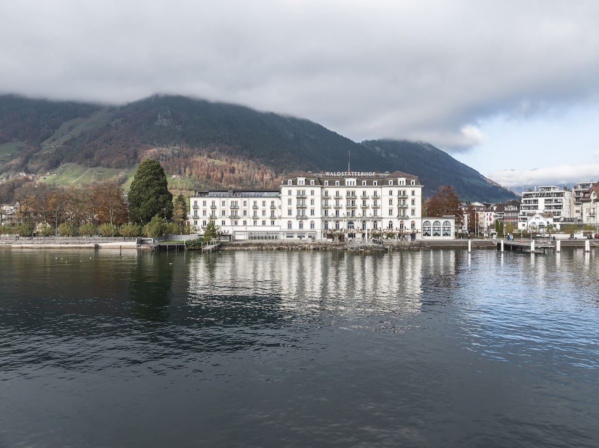 Seehotel Waldstätterhof Swiss Quality