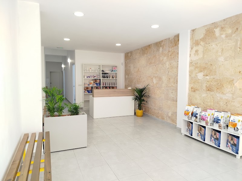 Centro Veterinario Friendly Vets