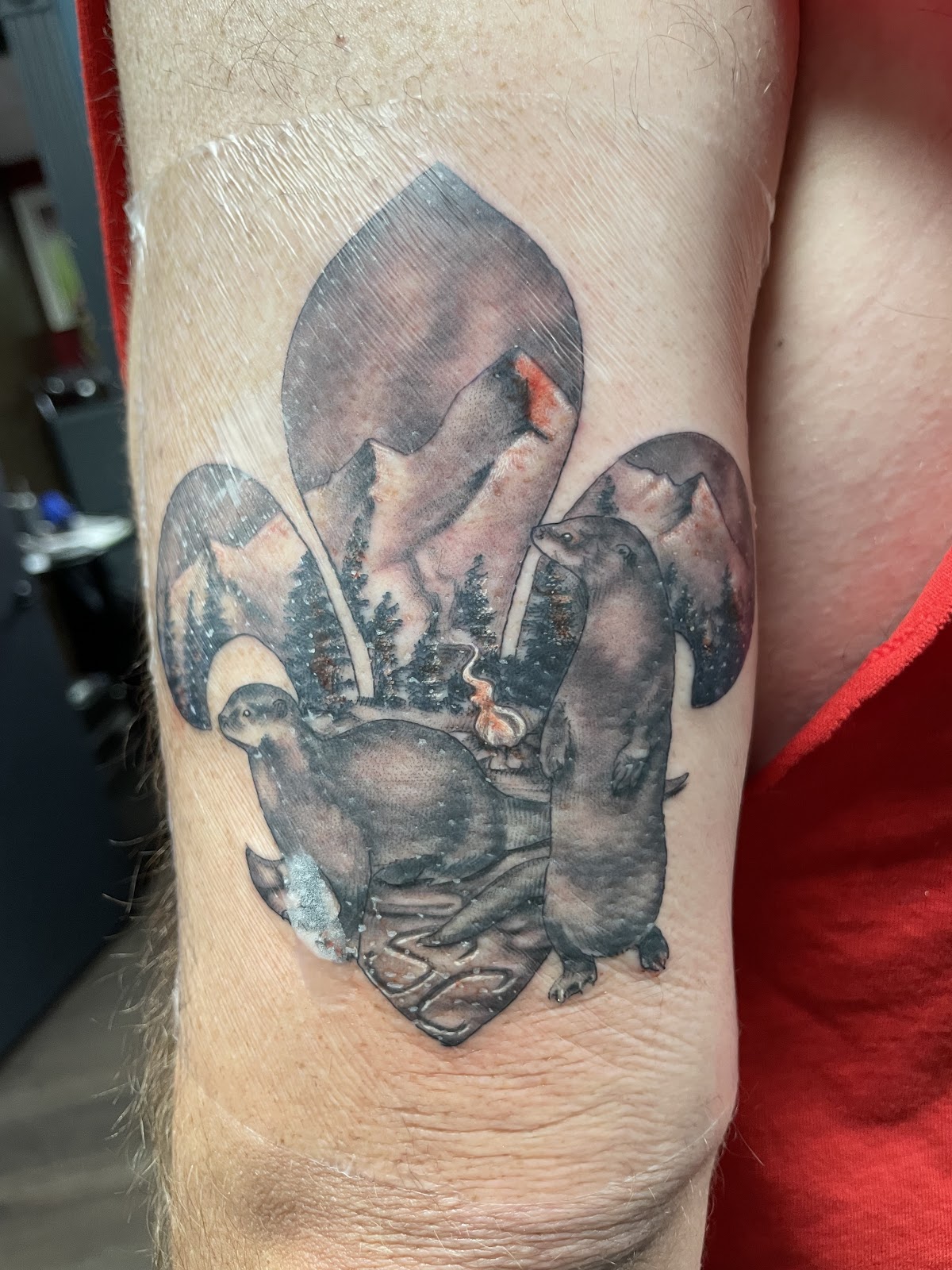 Aftershock Tattoo Company — tattoo studio near Olathe