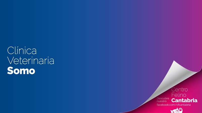 Clínica Veterinaria Somo (Urgencias 722614410)