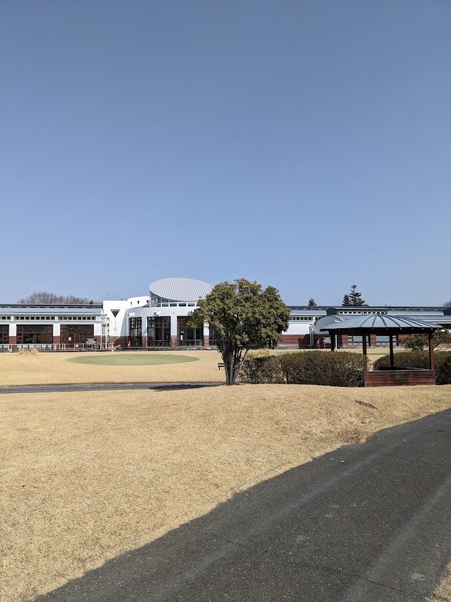Arrow Ace Golf Club - Photo 3