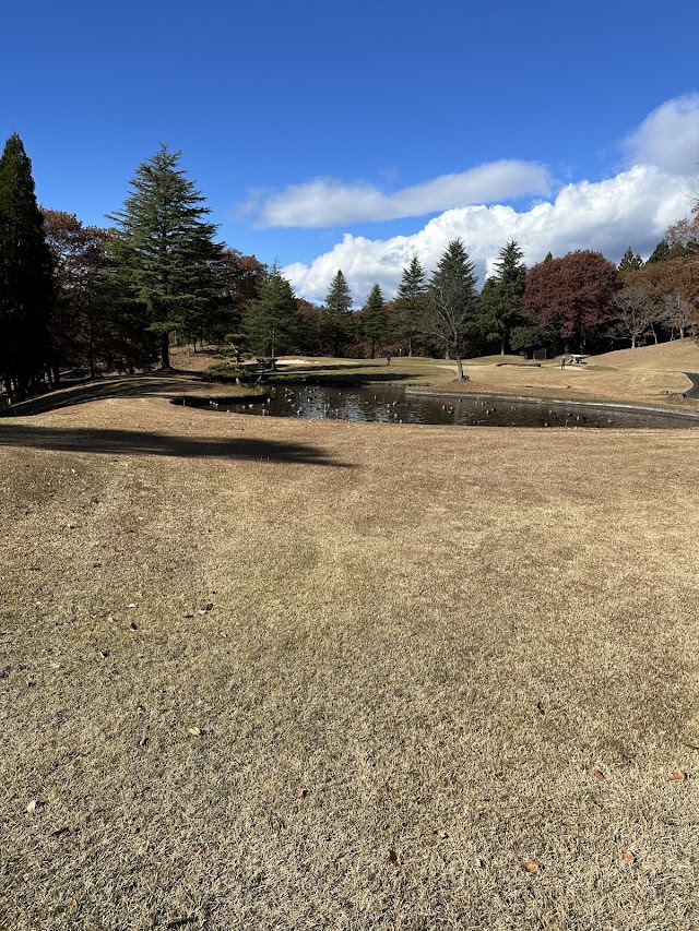 Arrow Ace Golf Club - Photo 2
