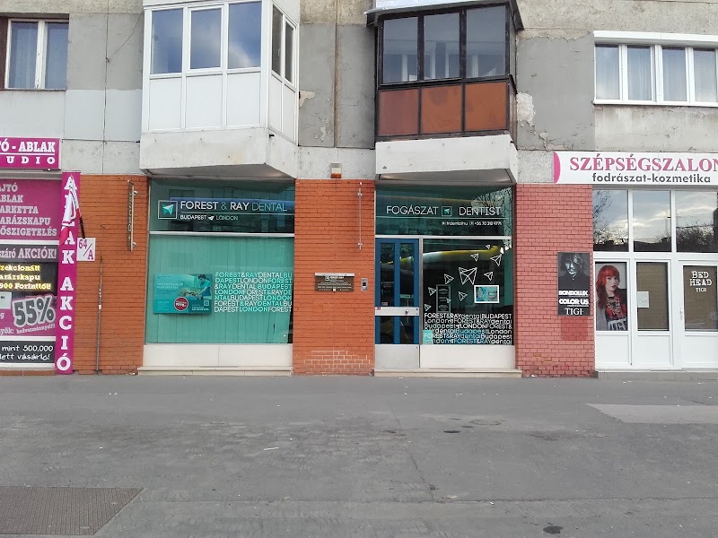 Gallery 4