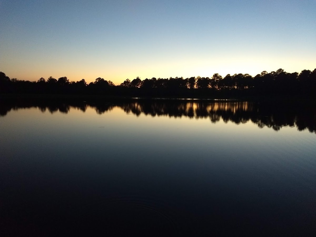 Beaver Creek Plantation