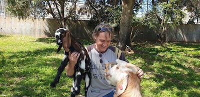 דניאל היימס מרכז וטרינרי תמרת