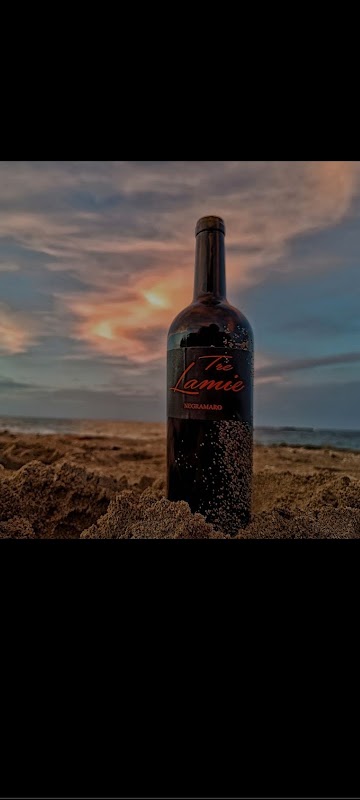 Azienda Vitivinicola Tenuta Merico