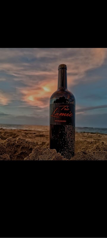 Azienda Vitivinicola Tenuta Merico