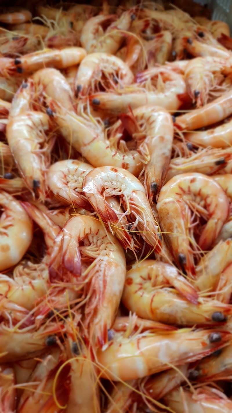 Cairns Little Seafood Market photo 3