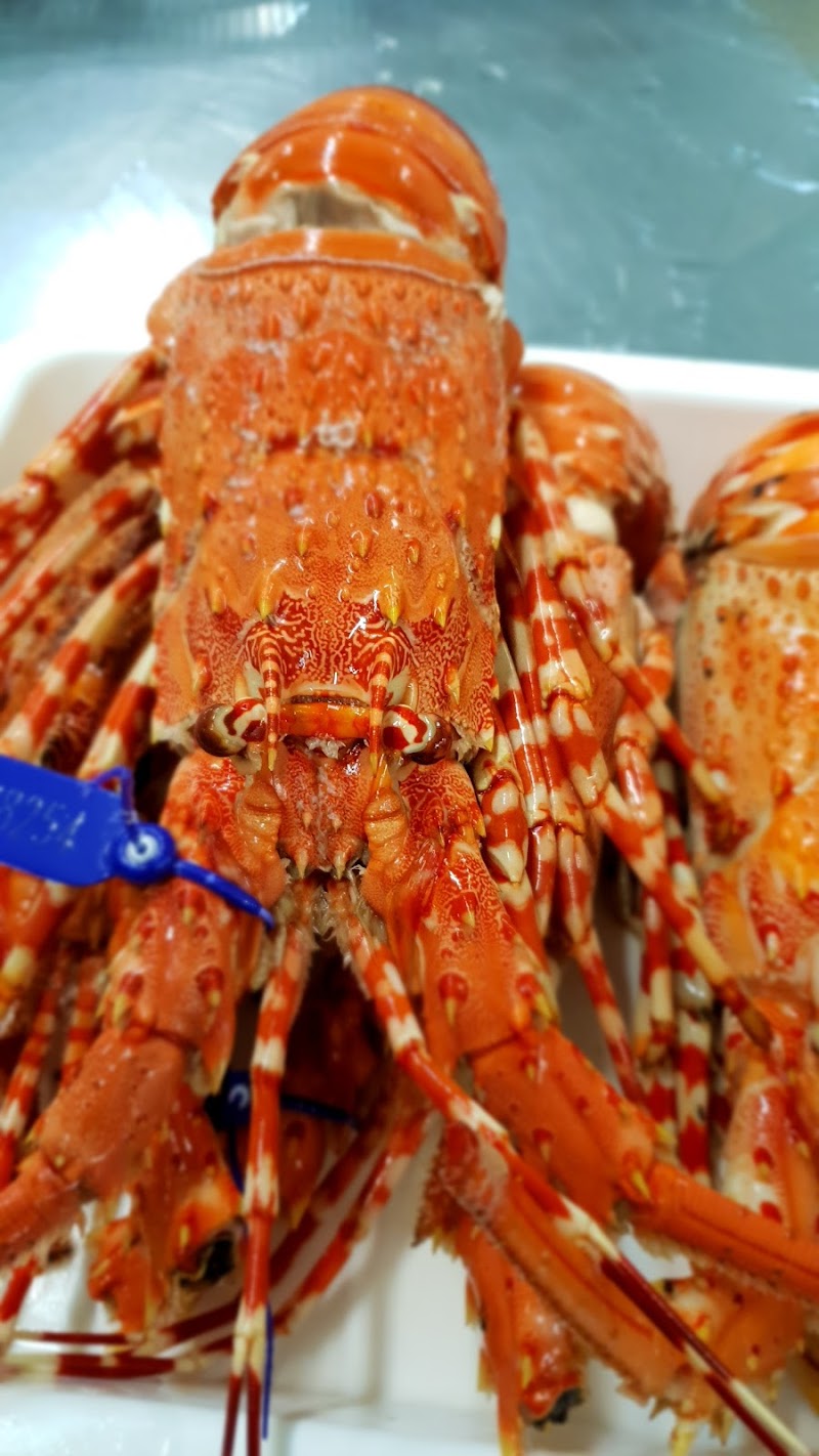 Cairns Little Seafood Market photo 4