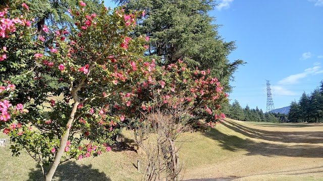 Fuji Health Country Club - Photo 7