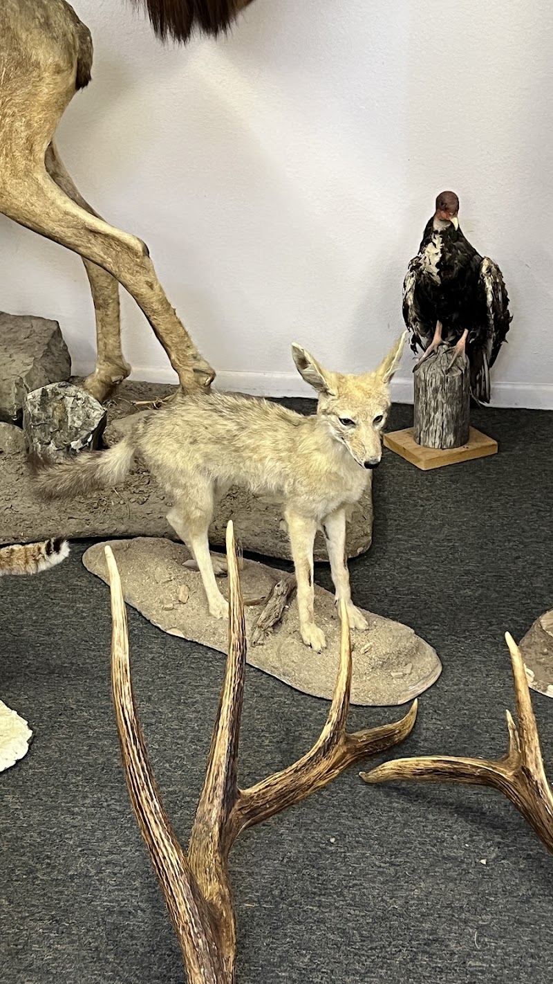 San Carlos Recreation & Wildlife - Photo 3