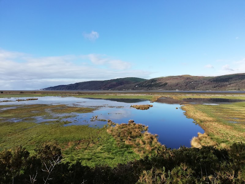 RSPB Ynys-hir