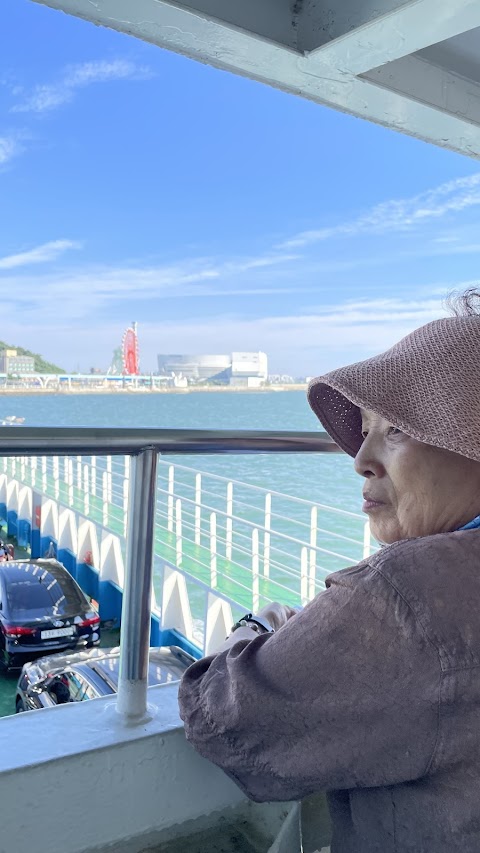 물치도 사진 2