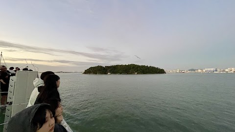 물치도 반려동물 동반 여행지