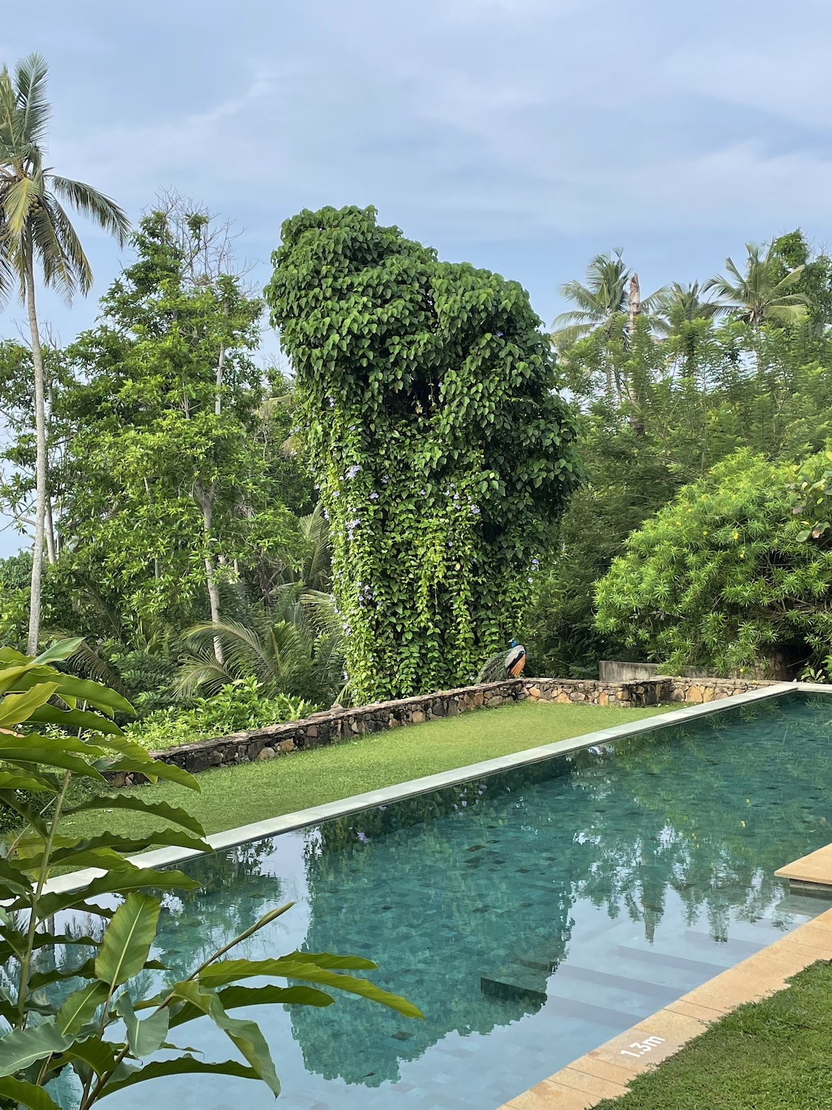 Cape Weligama - Relais & Chateaux — 4