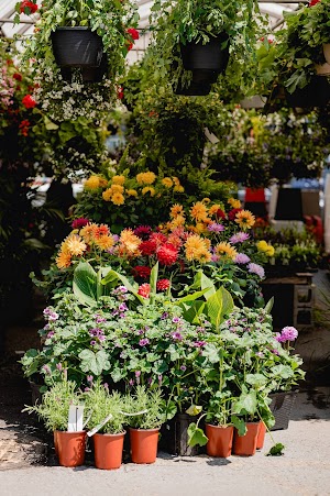 Marché Atwater