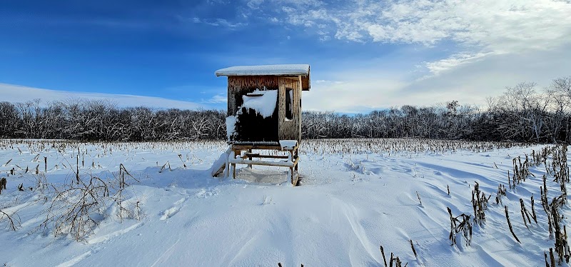 Midwest Whitetail Outfitters LLC - Photo 3