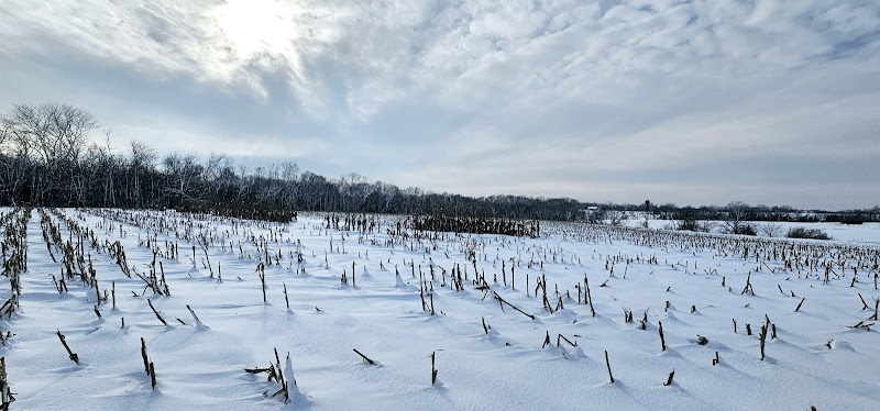 Midwest Whitetail Outfitters LLC - Photo 2