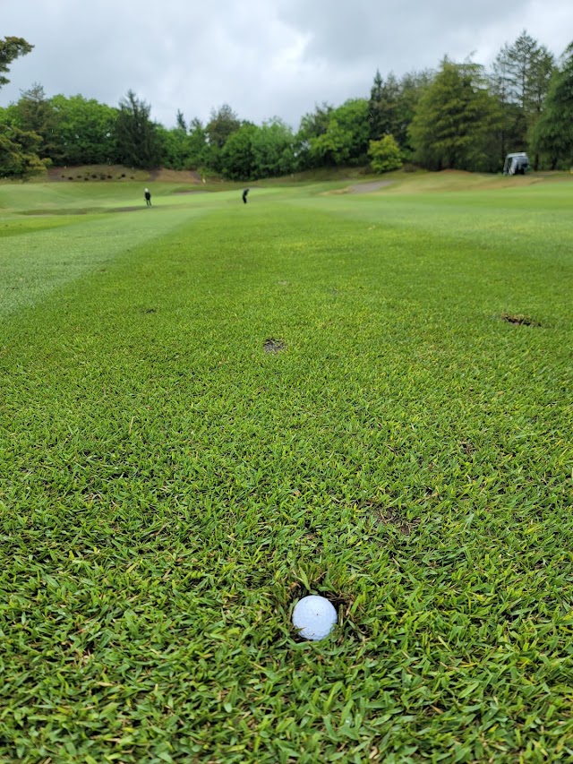 Ojiya Country Club - Photo 7