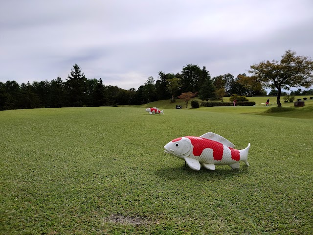 Ojiya Country Club - Photo 4