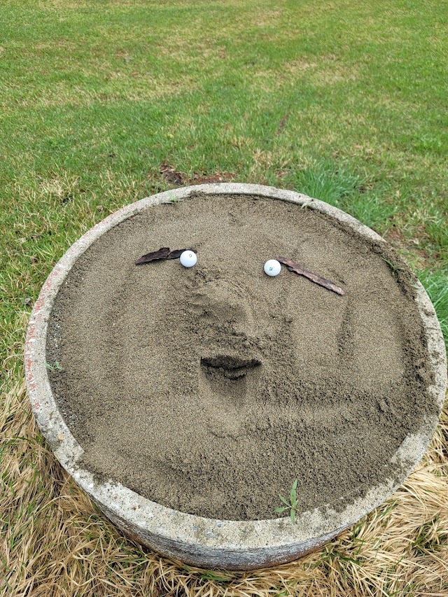 Ojiya Country Club - Photo 8