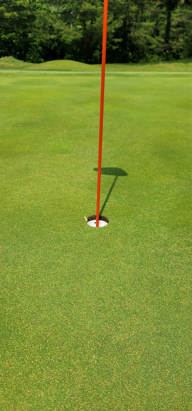 Ojiya Country Club - Photo 10