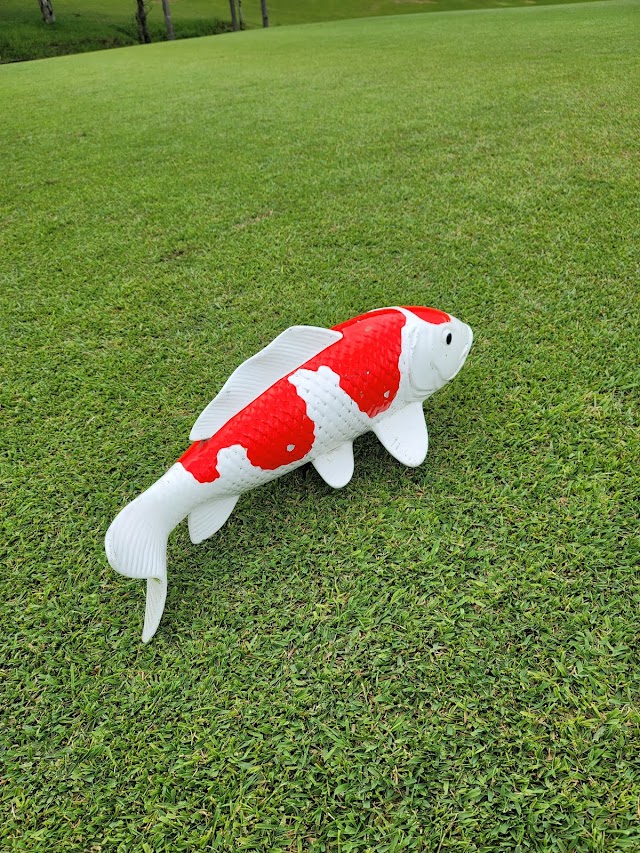 Ojiya Country Club - Photo 2