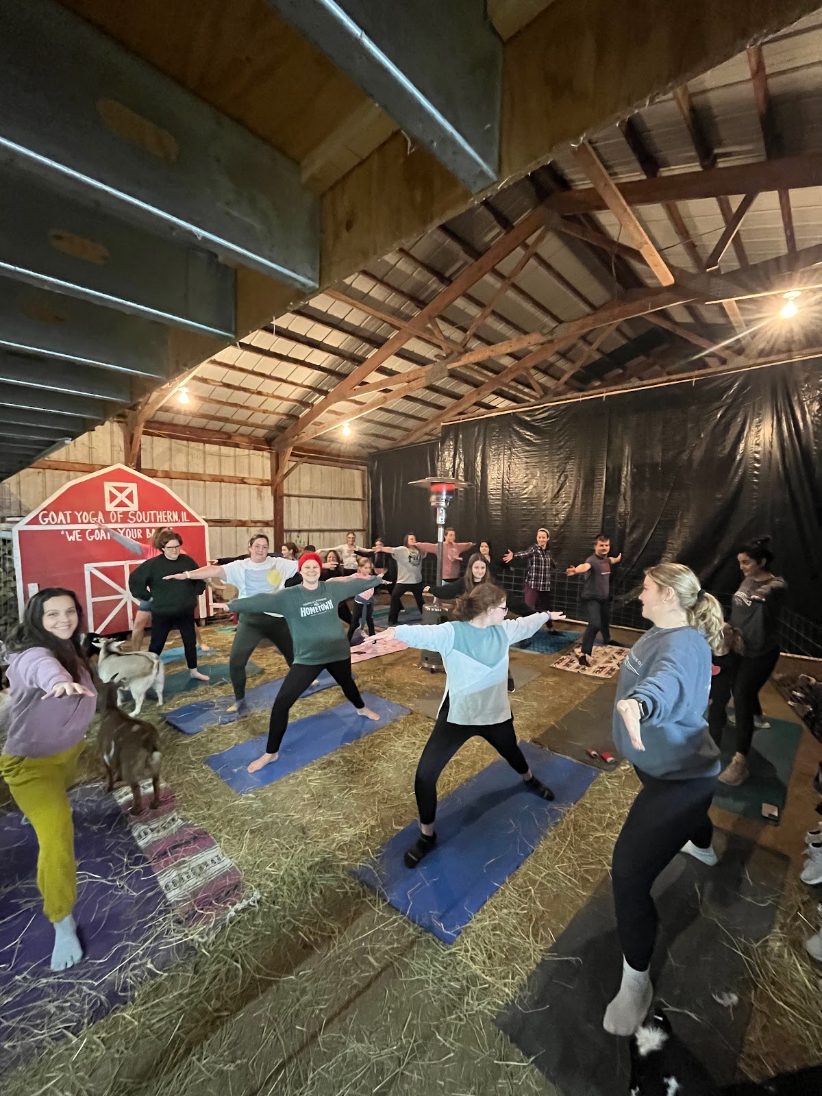 Goat Yoga of Southern IL photo 4
