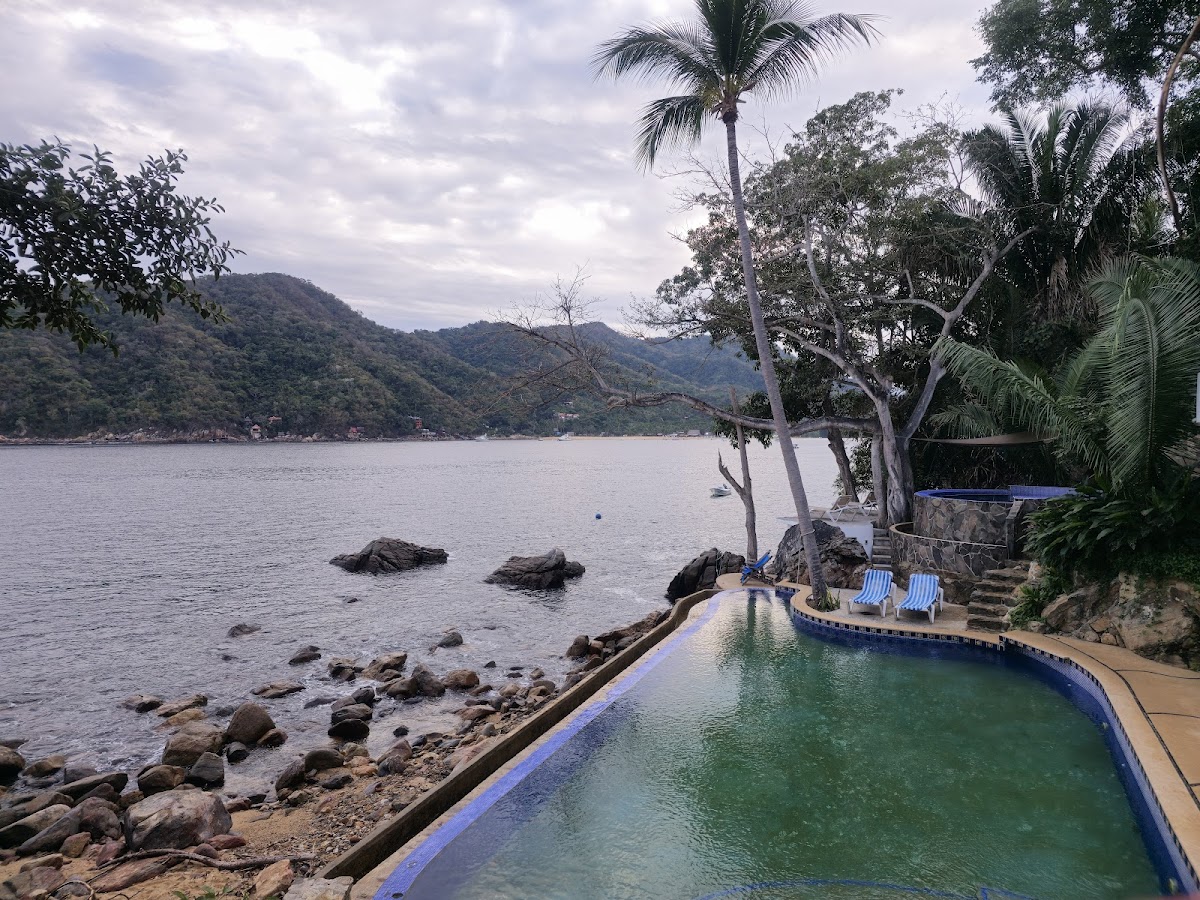 Pura Vida Wellness Retreat — 4