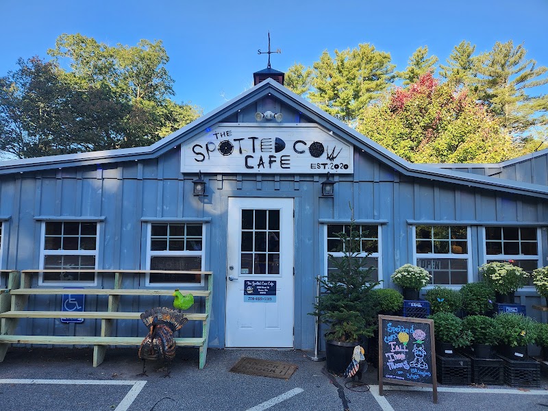 The Spotted Cow Cafe photo 3