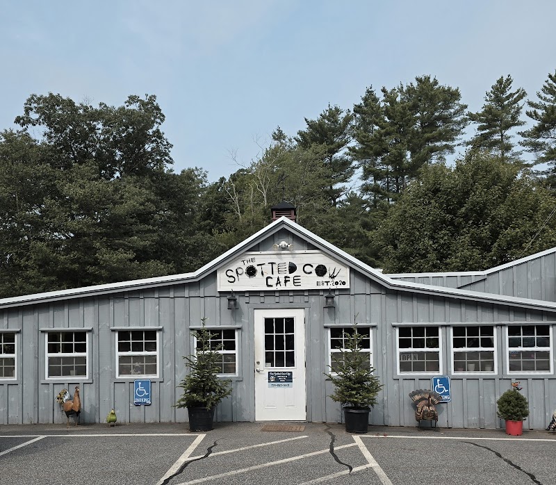 The Spotted Cow Cafe photo 3