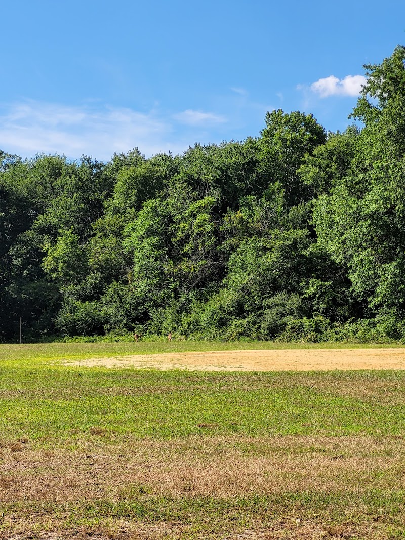 New Brooklyn Park photo 5