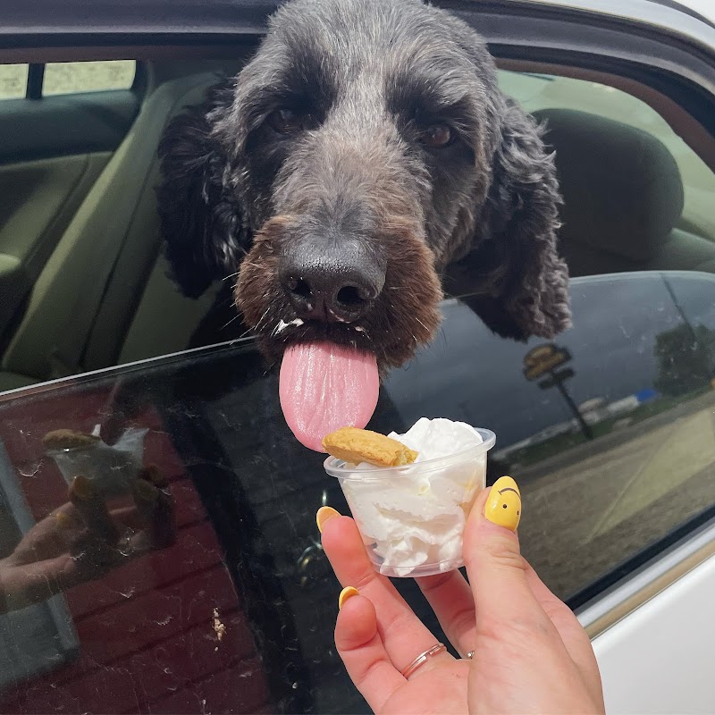 Poppy's Coffee Shop photo 4