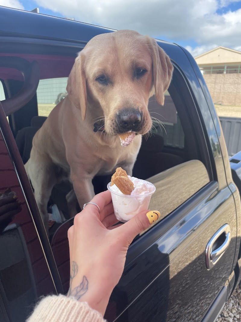 Poppy's Coffee Shop photo 3