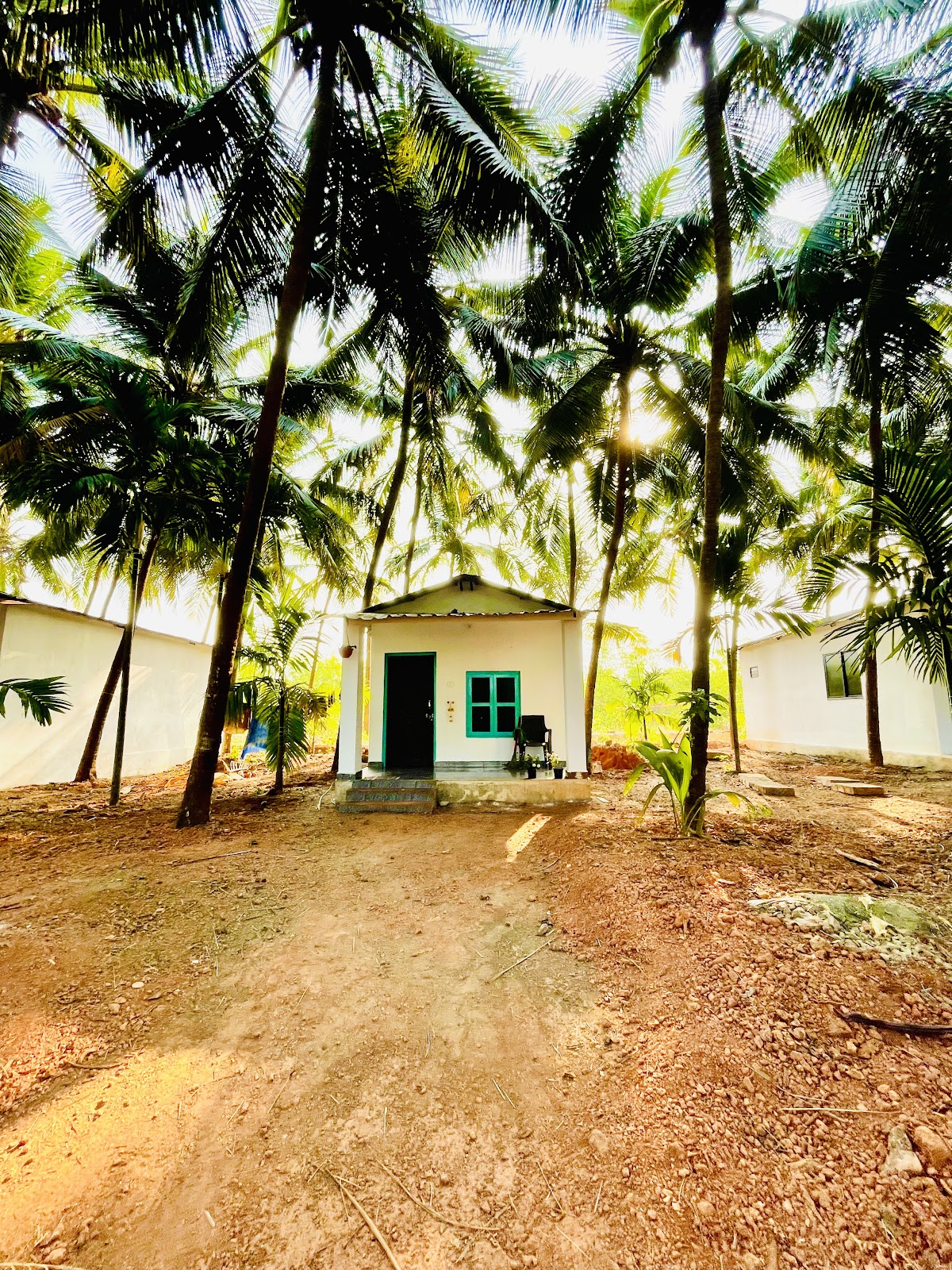 Tapas Yoga India| Best yoga teacher training and Yoga retreat in India