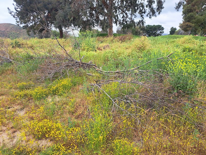 Seven Hills Golf Club Hemet photo 3