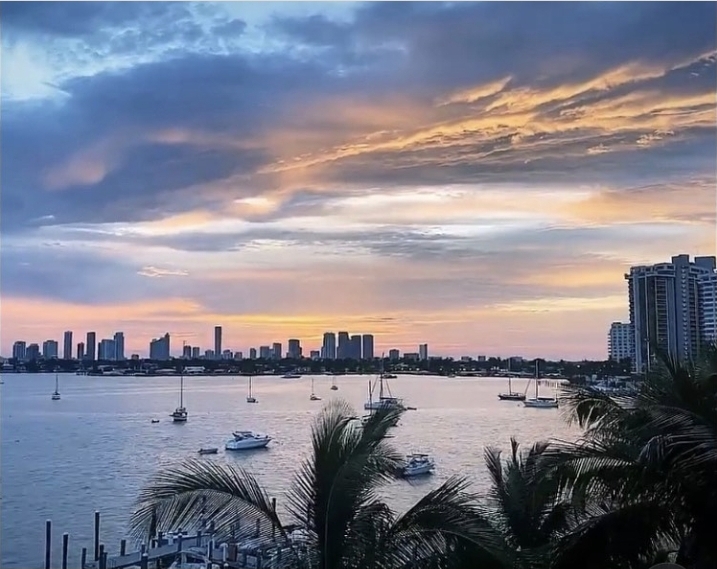 Best Pet-Friendly Hotels in Miami, United States