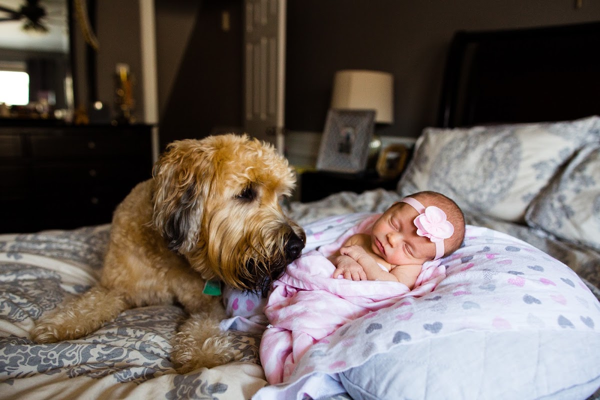 Rachel Utain-Evans Photography: Google Places image 2