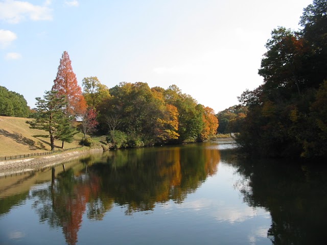 Nara International Golf Club - Photo 8