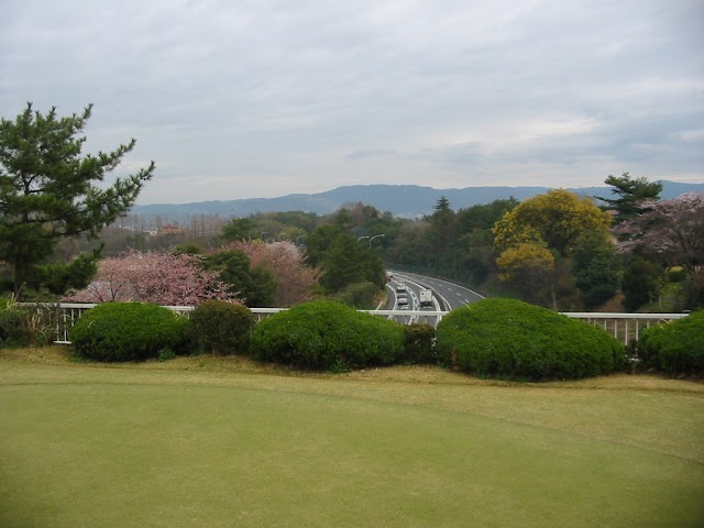Nara International Golf Club - Photo 10