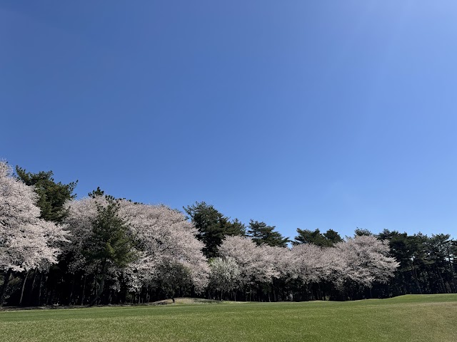 Chiba Country Club Umegou Golf Course - Photo 4