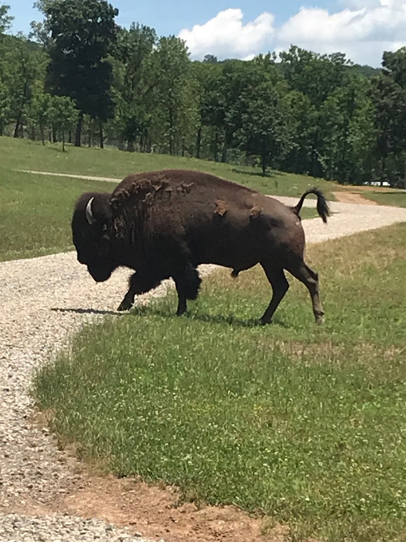 Hunt Mill Hollow Ranch - Photo 6