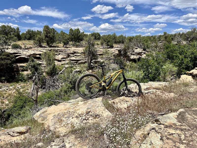 Kokopelli Bike & Board photo 3