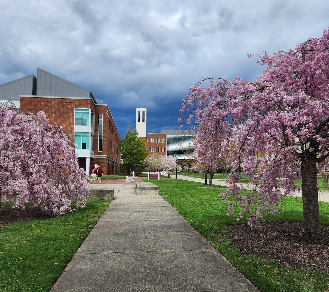 Salisbury University