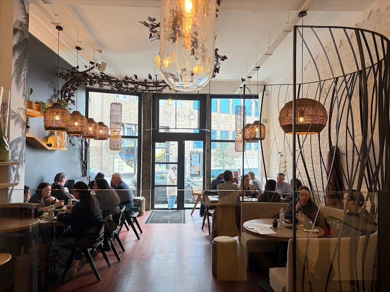 House of Pokē Brussel photo 4