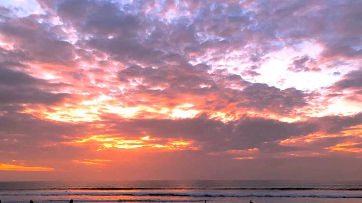 Bali Da Waves Surf school