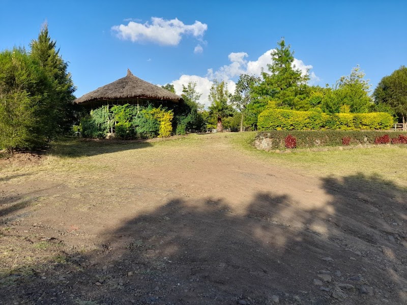 Bete Gondar LOdge photo 4