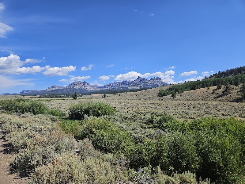 Absaroka Ranch - Photo 3