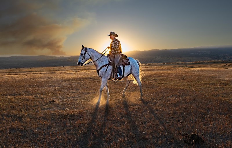 Absaroka Ranch - Photo 6